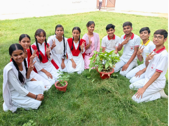 Independence Day & Plantation